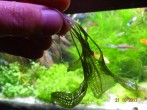 DSC07494.JPG
