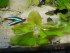 DSC07589.JPG