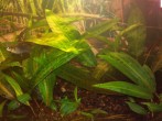 IMG_20170501_220623.jpg