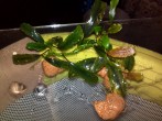 IMG_20171012_143849.jpg