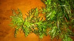 IMG_20171029_173923.jpg