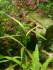 IMG_20171030_145351.jpg