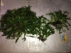 IMG_20171031_201627.jpg
