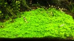 copy_151_WP_20170114_11_34_19_Pro.jpg