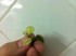 copy_296_image-2.jpg