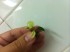 copy_436_image-1.jpg