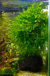copy_816_copy_578_copy_400_DSC0002.jpg