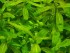 copy_925_20170916_215125.jpg