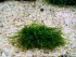 copy_971_IMG_20170917_185140.jpg