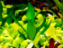 copy_982_copy_998_DSCN2712.jpg