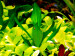 copy_982_copy_998_DSCN2712.jpg
