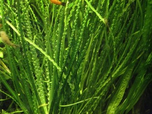 Изображение 754.jpg