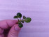 20171014_090353.jpg