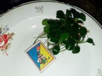 20171120_154037.jpg