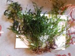 20171123_092211.jpg