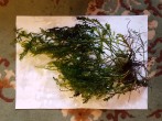 20171123_092553.jpg