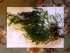20171123_092553.jpg