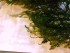 20171123_092558.jpg