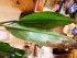 20171123_092736.jpg