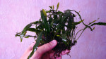 DSC01846.JPG