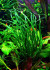 DSC01849.JPG