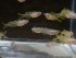 DSC02569.JPG