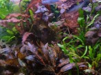 DSC07726.JPG