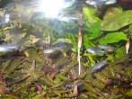 DSC07728.JPG