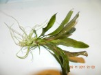DSCN3157.JPG