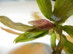 DSCN3158.JPG