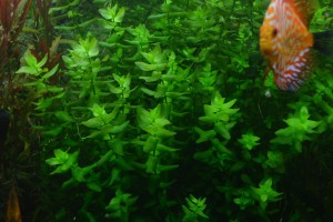 DSC_0228-min.JPG