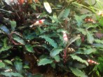IMG_20170523_141710.jpg