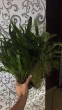IMG_20171030_201049.jpg