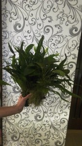 IMG_20171030_201118.jpg