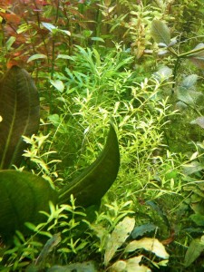 IMG_20171119_220843.jpg