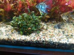 IMG_20171121_200716.jpg