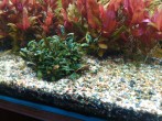 IMG_20171121_200742.jpg