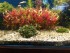 IMG_20171121_200911.jpg