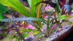 IMG_20171128_181517.jpg