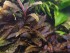 copy_250_DSC07605.jpg
