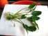 copy_493_copy_499_furtadoa-4.jpg