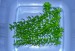 copy_497_copy_507_1-7.jpg
