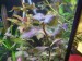 copy_516_20171109_212455.jpg