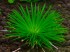 copy_584_copy_649_copy_955_1-1.jpg