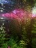copy_71_IMG_20171027_193134.jpg