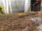 20171130_083214.jpg