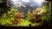 20171204_191110.mp4_snapshot_00.04_[2017.12.07_20.29.06].jpg