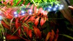 20171204_202708.jpg