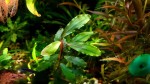 20171204_205436.jpg