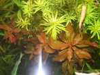 20171210_150537.jpg